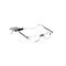 Clipyreader Lunettes +2.50 Transparent