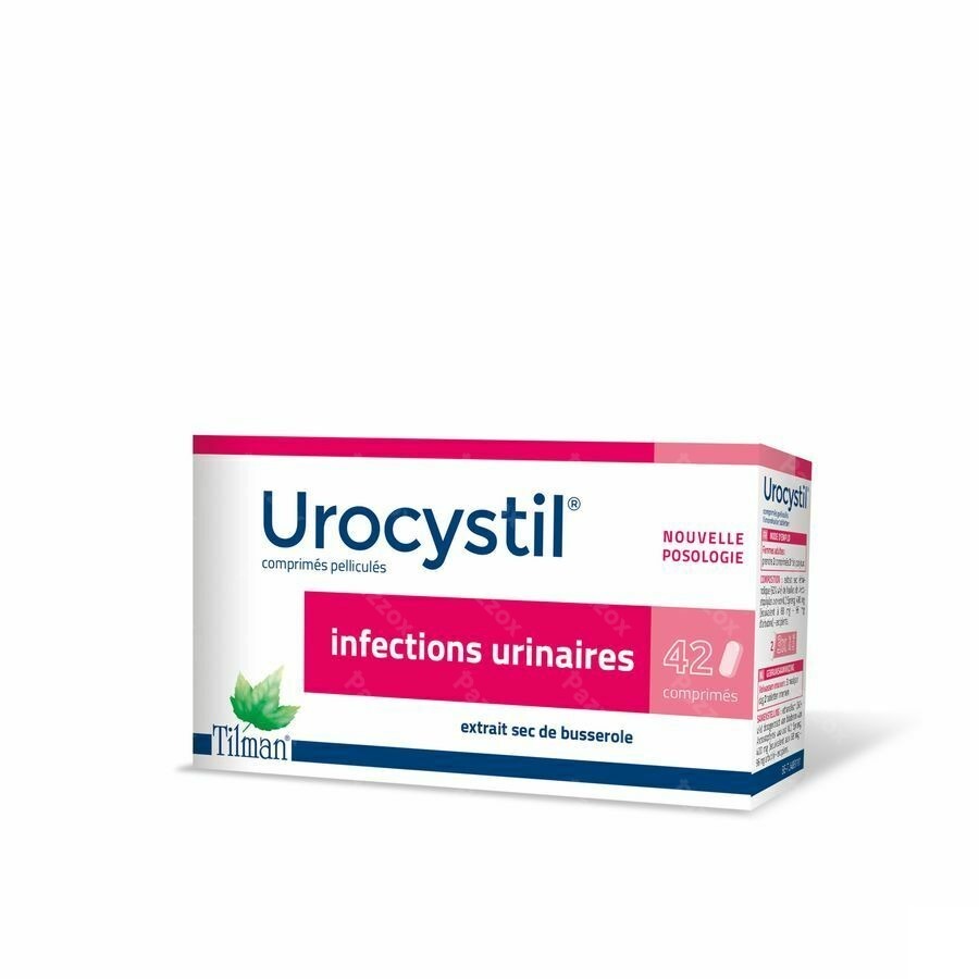 Urocystil Comprimés 42 X 400mg