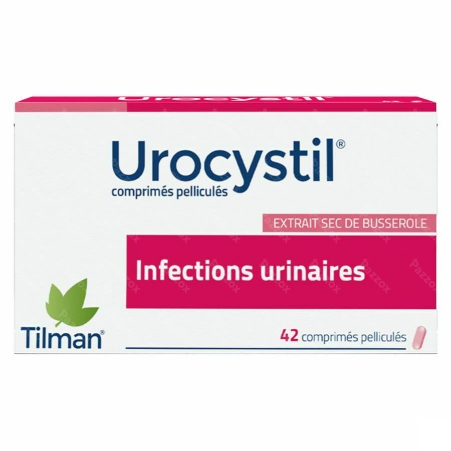 Urocystil Comprimés 42 X 400mg