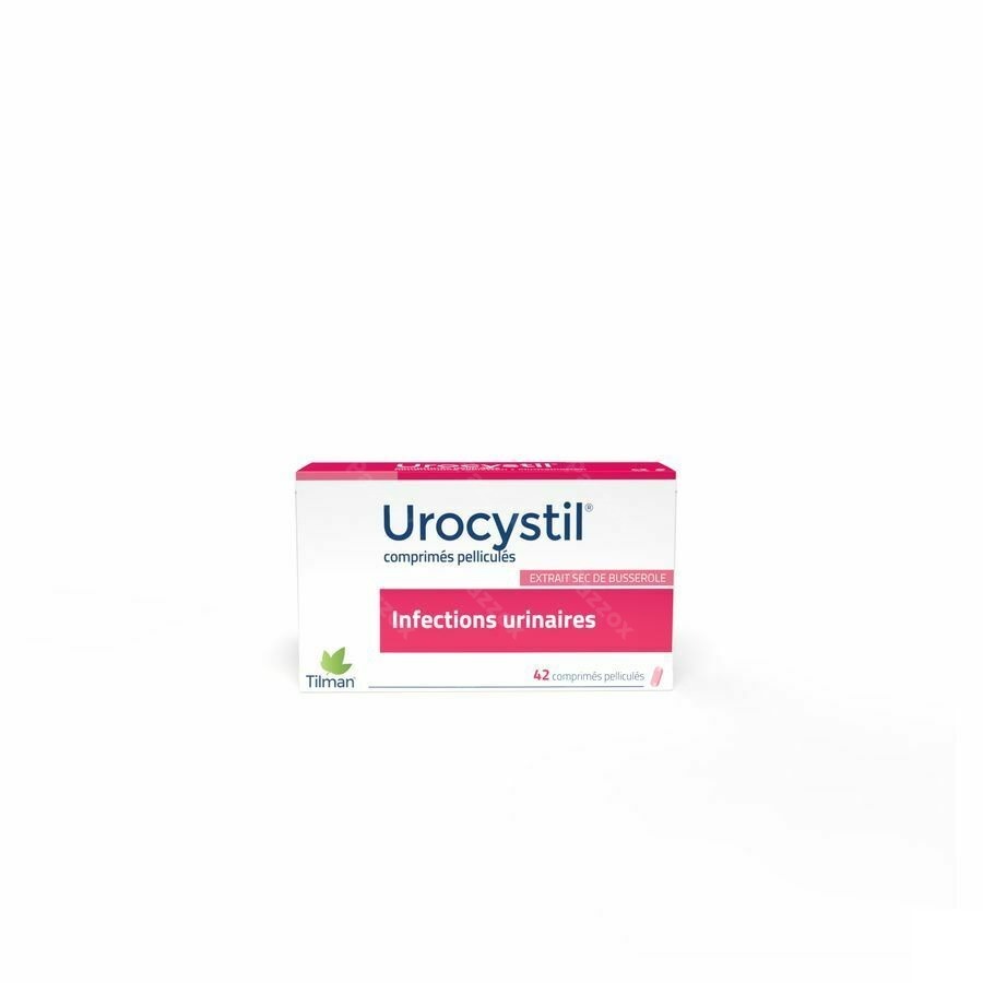 Urocystil Comprimés 42 X 400mg