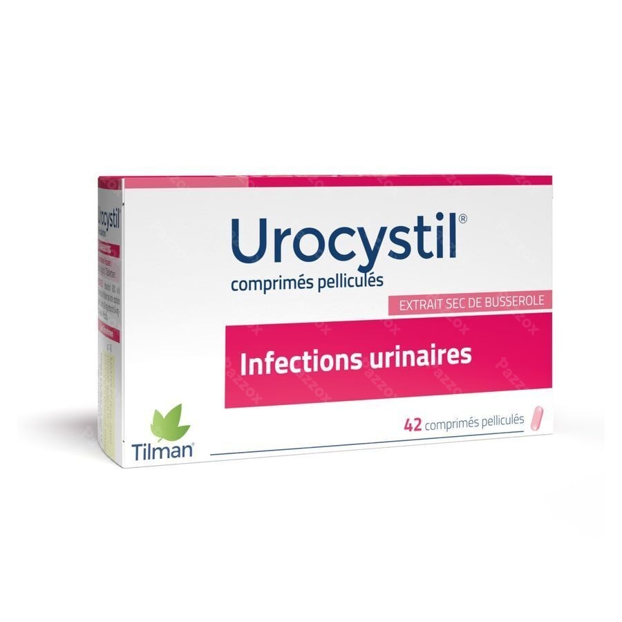 Urocystil Comprimés 42 X 400mg