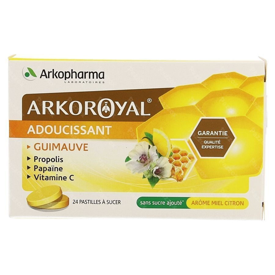 Arkoroyal Propolis Papaine Miel Pastilles 24