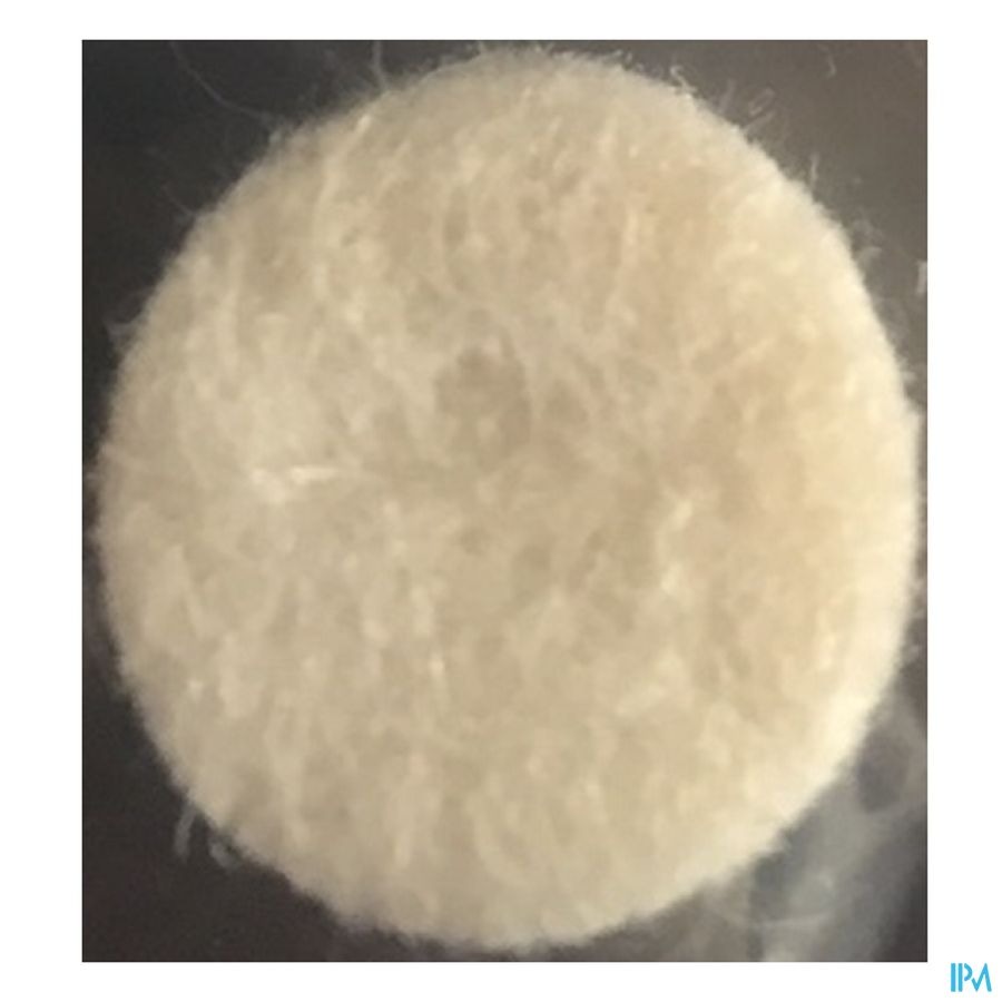 Aerosol Filtre Eureka Care Mr Aero.neb Hi-neb Drop