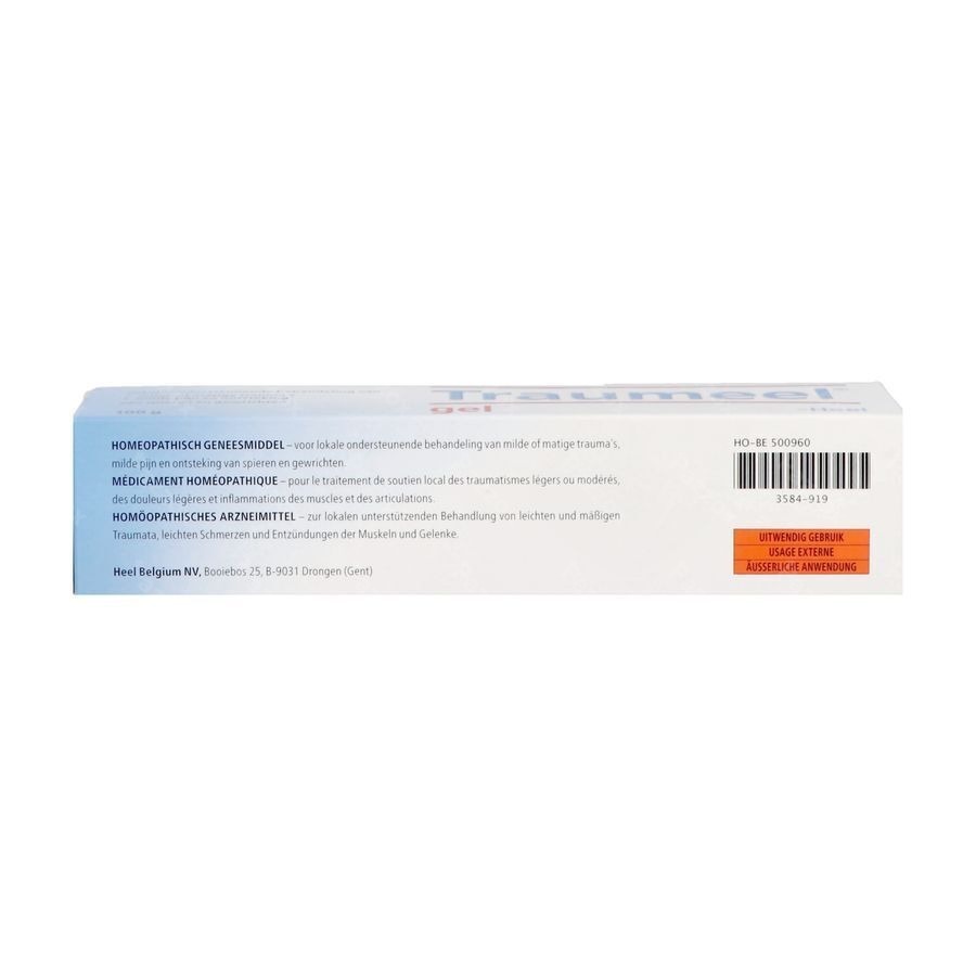 Traumeel Gel 100g Heel