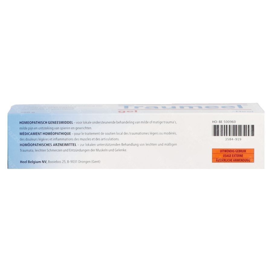 Traumeel Gel 100g Heel