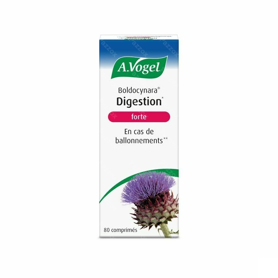 A.Vogel Boldocynara Digestion Forte Comp 80