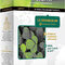 Desmodium Amp 20