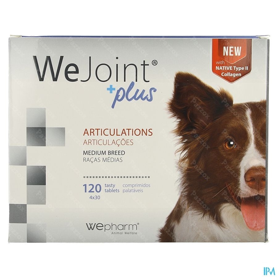 Wejoint Plus Medium Breed Comp 4x30