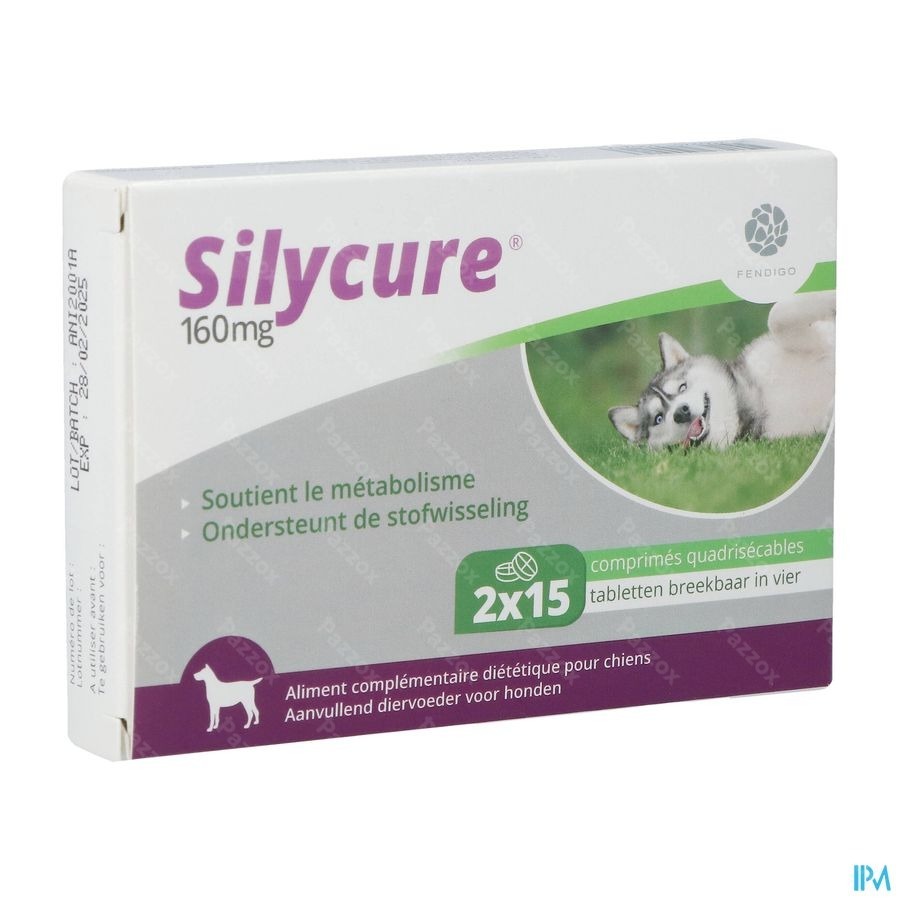 Silycure 160mg Comp 2x15