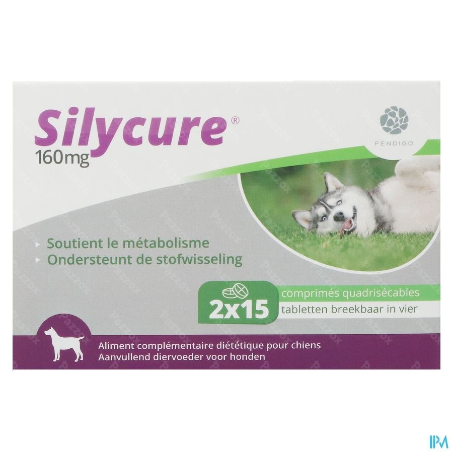 Silycure 160mg Comp 2x15