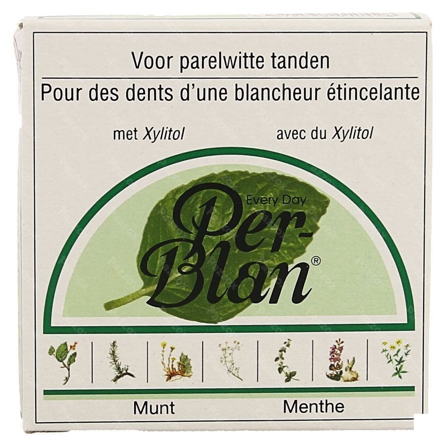 Perblan Poudre Dentifrice Menthe 30g