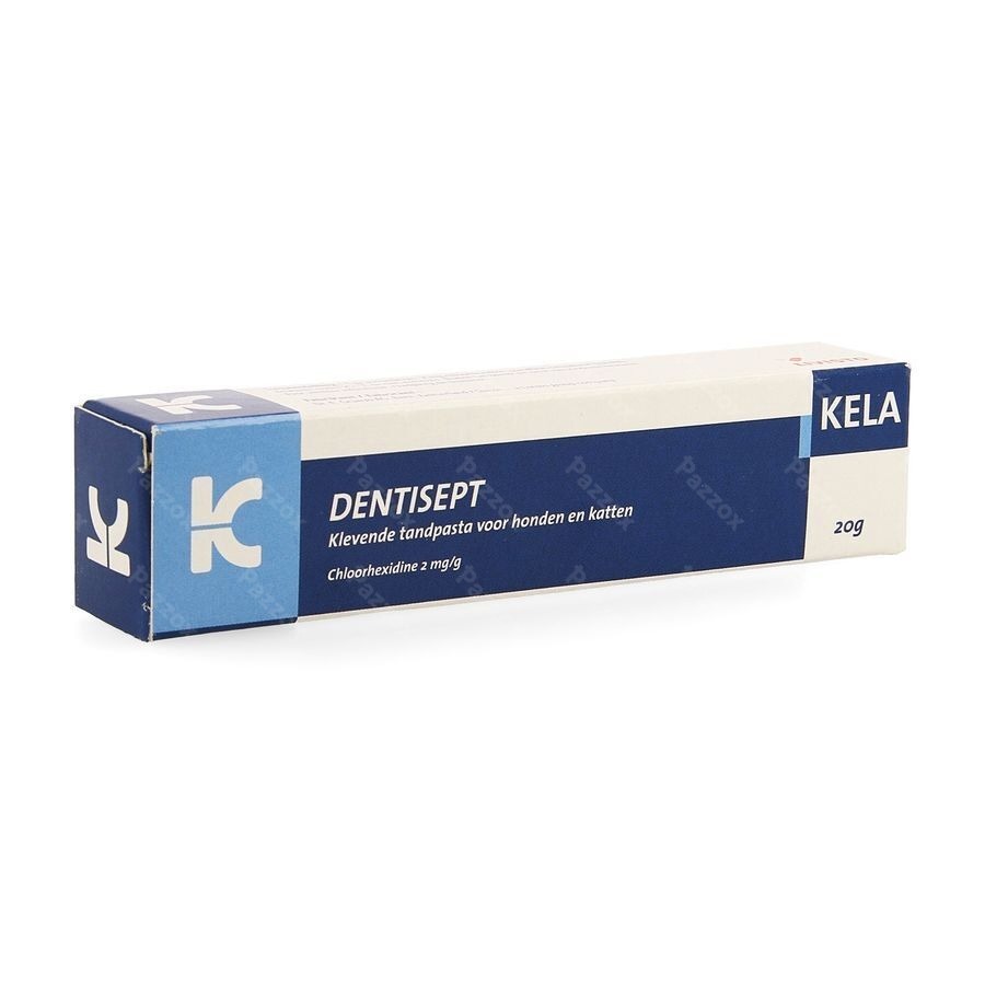 Dentisept Dentifrice Chien Chat Tube 20g