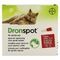 Dronspot 96mg/24mg Spot-on Chat Grand >5-8kg Pip 2