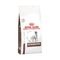 Royal Canin Dog Gastrointestinal Dry 2kg