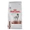 Royal Canin Dog Gastrointestinal Dry 2kg