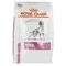 Royal Canin Dog Renal Dry 2kg