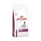 Royal Canin Dog Renal Dry 2kg