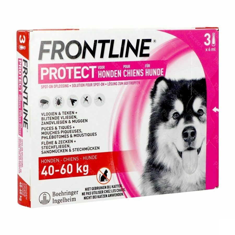 Frontline Protect Spot On Sol Chien 40-60kg Pipet3