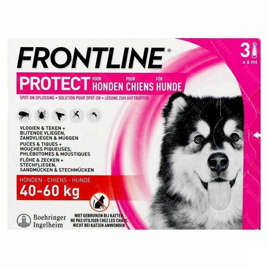 Frontline Protect Spot On Sol Chien 40-60kg Pipet3