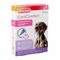 Beaphar Canicomfort Spot On Calmant 3x1ml