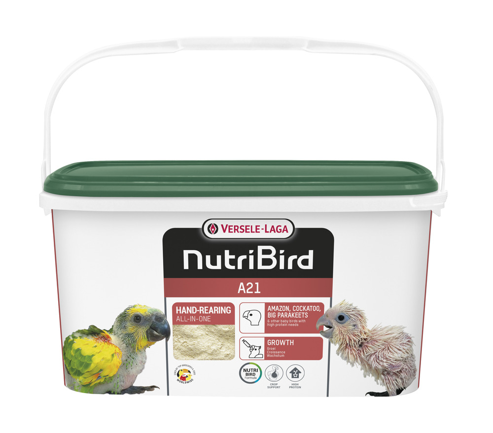 Nutribird A21 3kg Aliment D'élevage à la Main Amazones, Cacatoès et Grandes Perruches + Autres Bébés Oiseaux Ayant Des Besoins Energétiques Elevés 3 kg