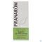 Pranarôm Huile Essentiel Cypres Toujours Vert 10ml