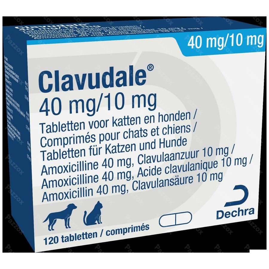 Clavudale 40mg/ 10mg Chat Chien Blister Comp 120
