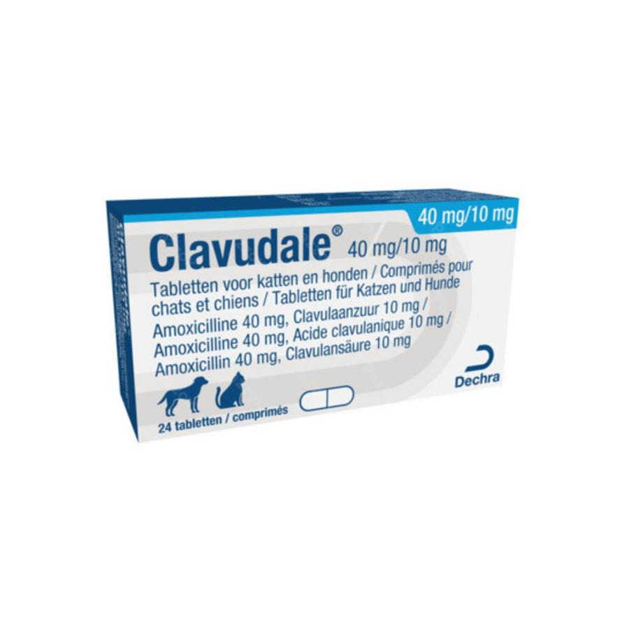 Clavudale 40mg/ 10mg Chat Chien Blister Comp 120