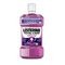 Listerine Total Care Protection Dents 500ml
