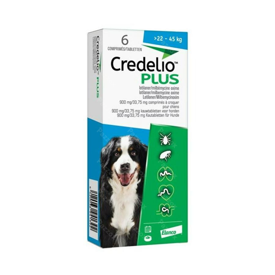 Credelio Plus 900,00mg/33,75mg Chien Comp Croq. 6