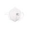 Masque Respirateur Ffp2 Boite 51 9920800