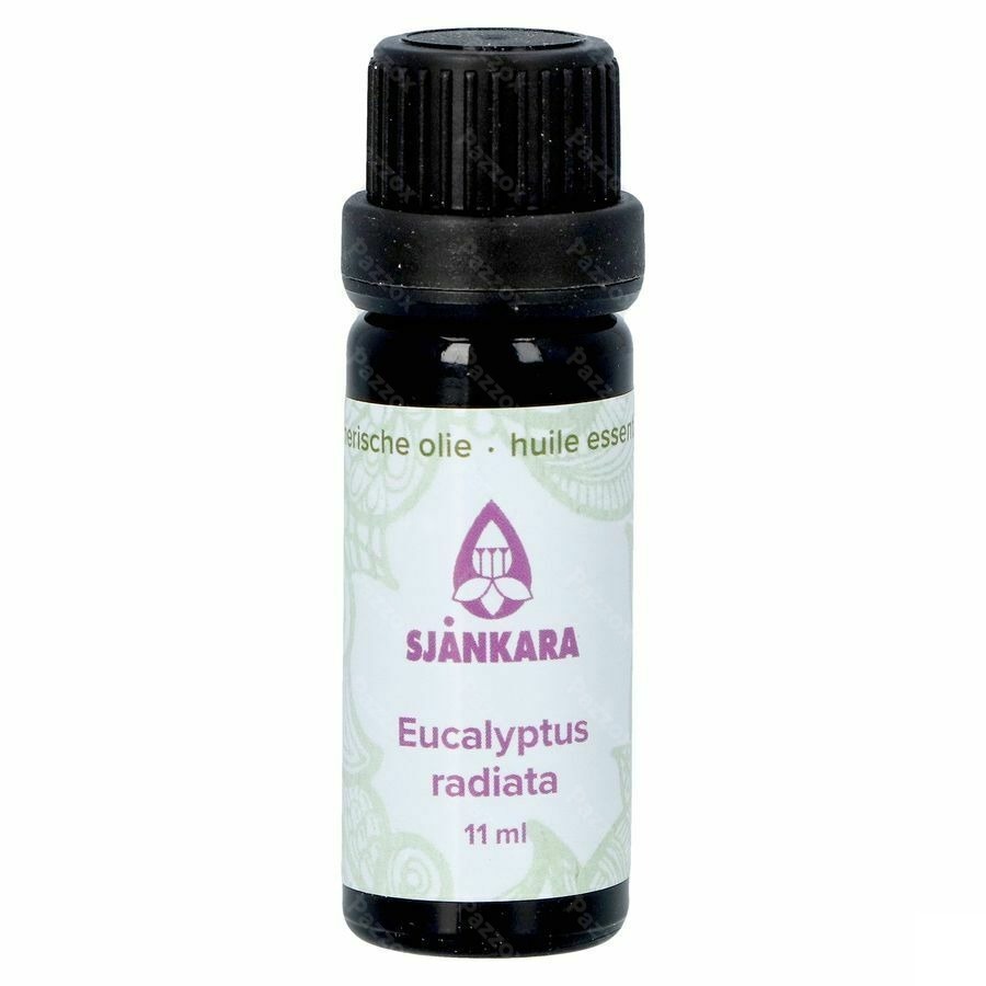 Sjankara Eucalytus Radiata Huile Ess. Bio 11ml