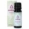 Sjankara Ravintsara Huile Ess. Bio 11ml
