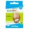 Pharmex Coussin Orteil Marteau Gel Vitaplus S/m