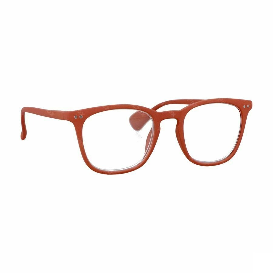 RenÉ(e) Lunettes Re-z03 Vintage Camper Red +2,5