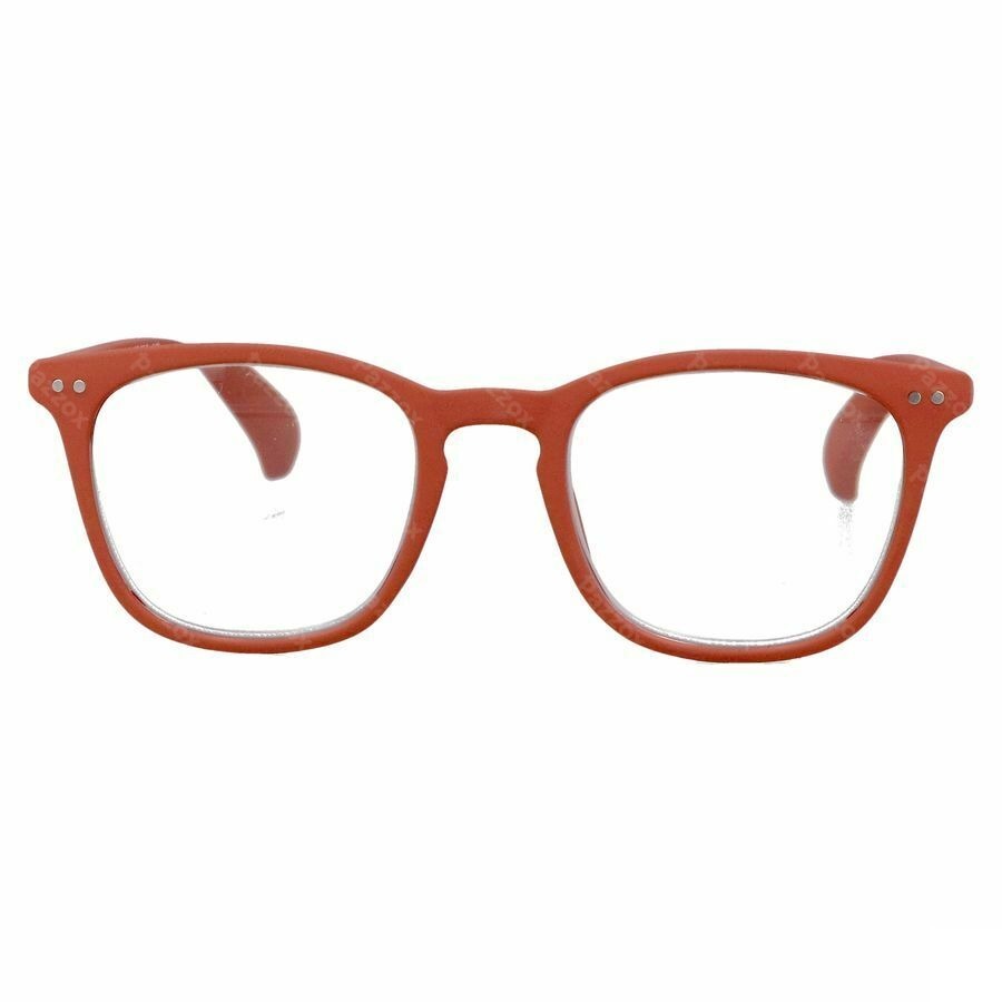RenÉ(e) Lunettes Re-z03 Vintage Camper Red +2,5