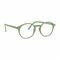 RenÉ(e) Lunettes Re-y05 Monstera Leaf Green +2