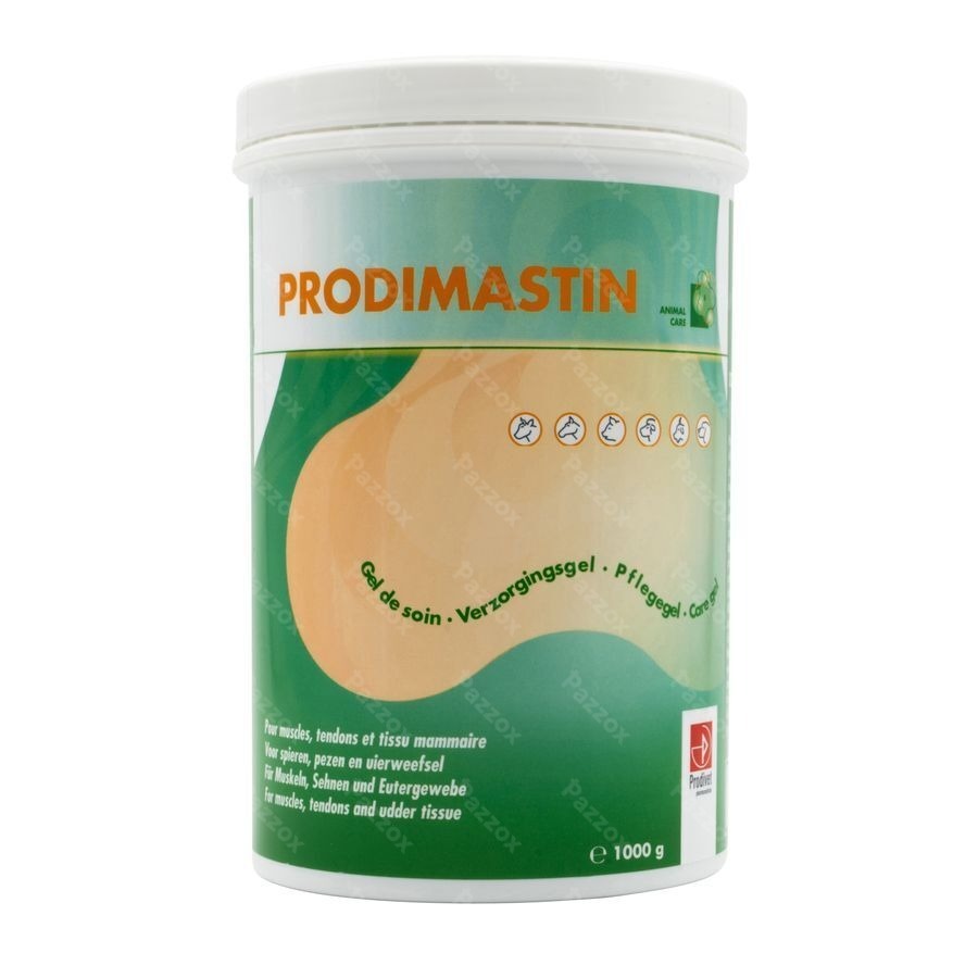 Prodimastin Gel Soin 1kg Nf