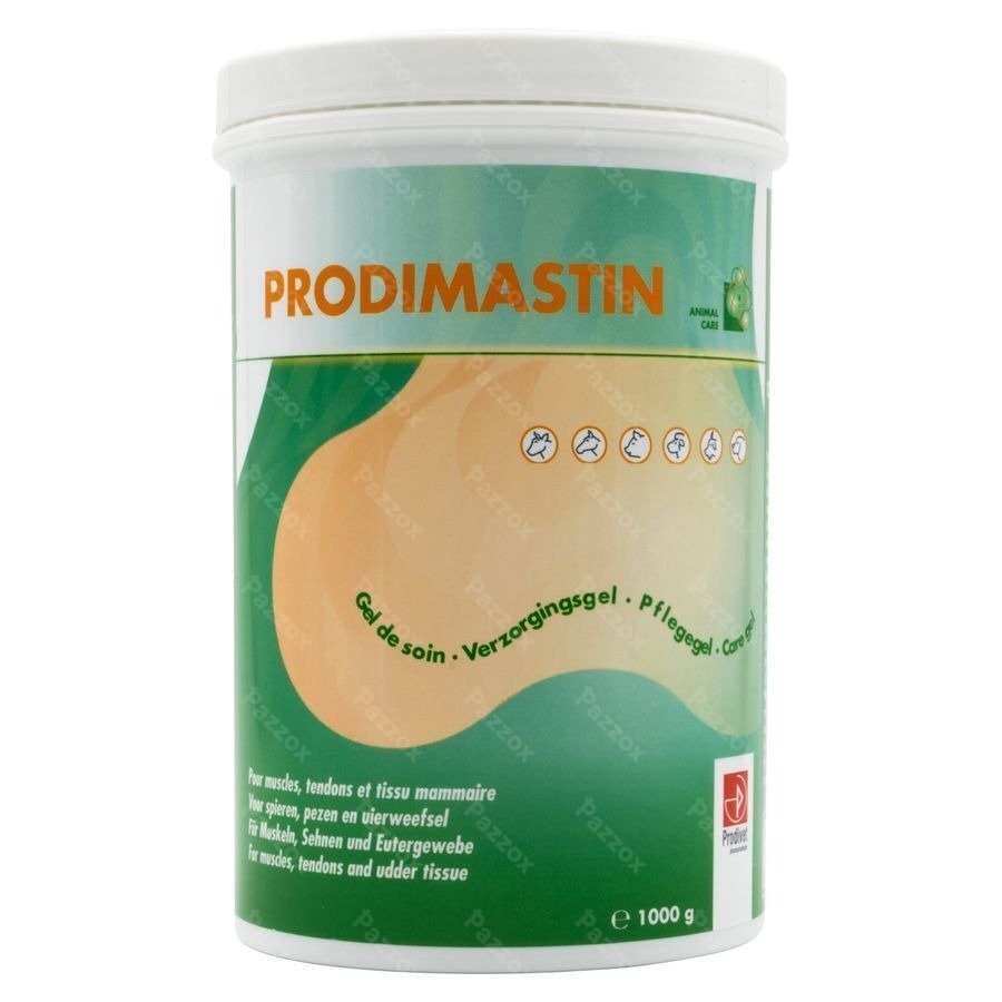 Prodimastin Gel Soin 1kg Nf
