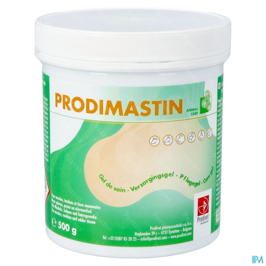 Prodimastin Gel Soin 500g Nf