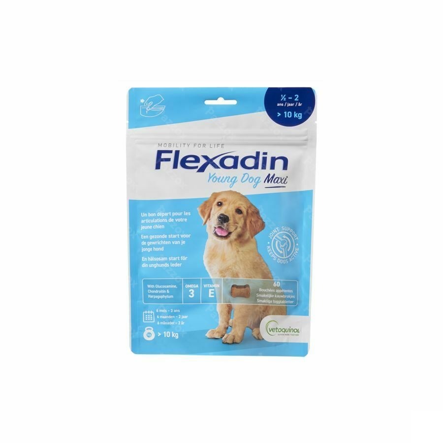 Flexadin Young Dog Maxi Chew 60