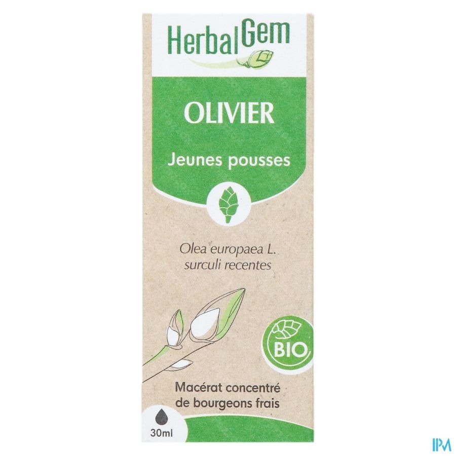 Herbalgem Olivier Bio 30ml