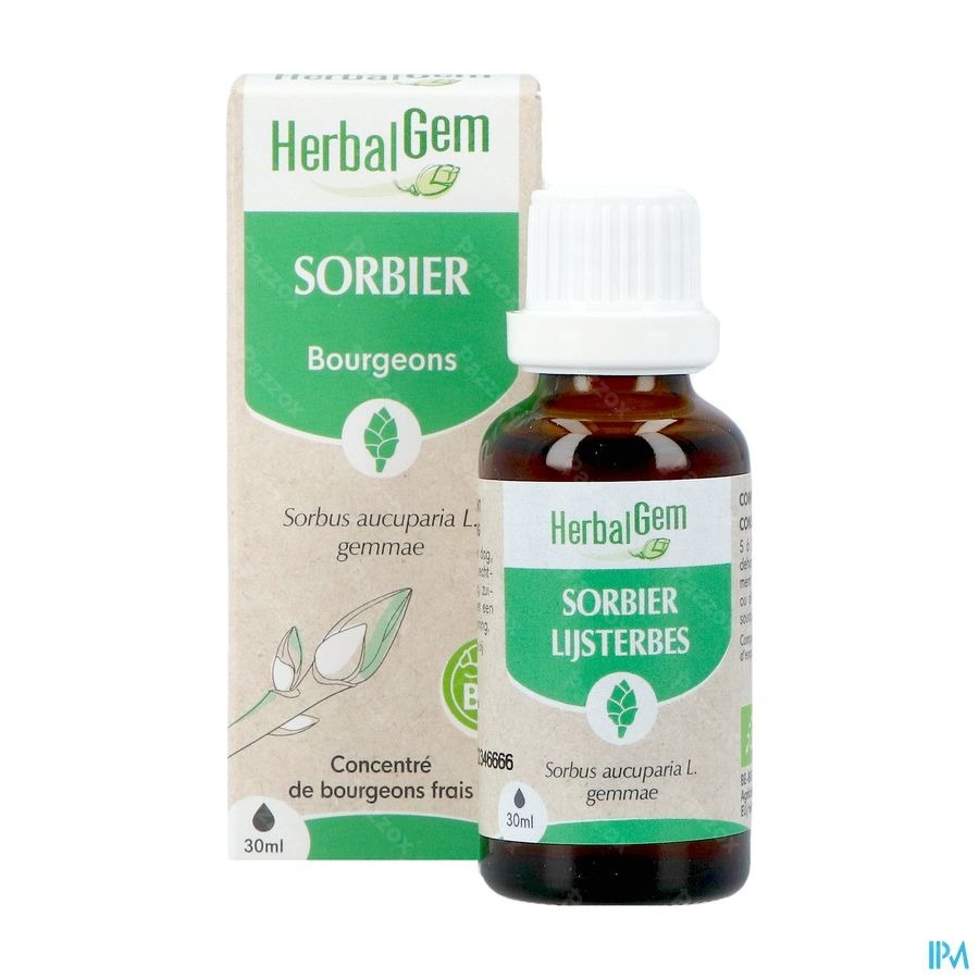 Herbalgem Sorbier Bio 30ml