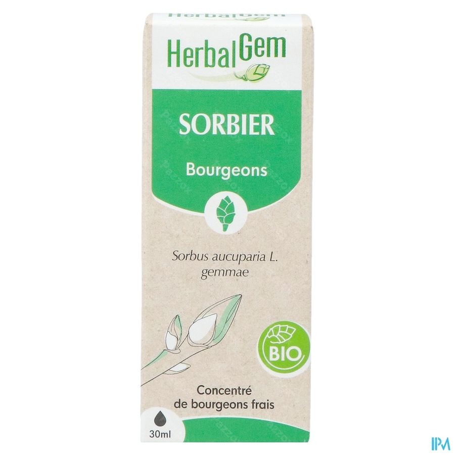 Herbalgem Sorbier Bio 30ml