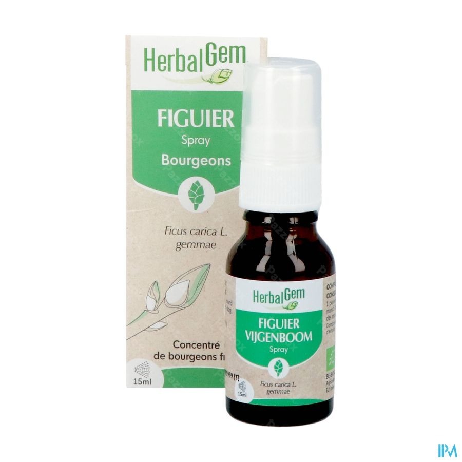 Herbalgem Figuier Bio Spray 15ml