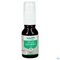 Herbalgem Figuier Bio Spray 15ml