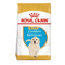 Royal Canin Dog Puppy Golden Retriever Dry 12kg