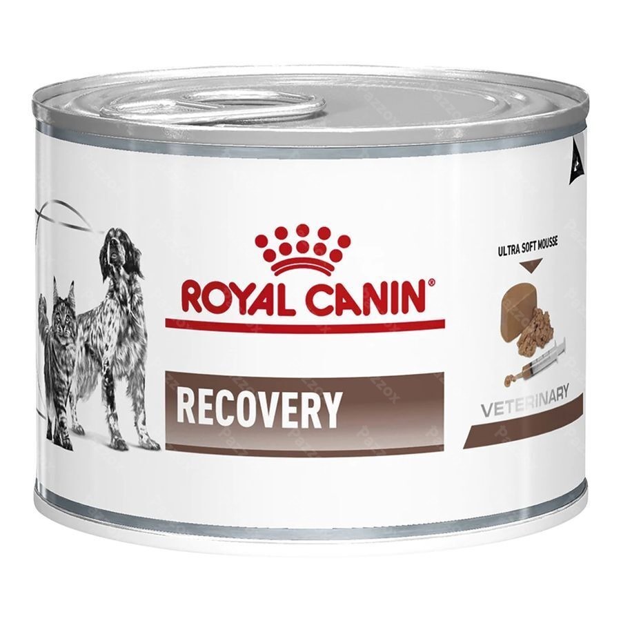 Royal Canin Cat/dog Recovery Wet 12x195g