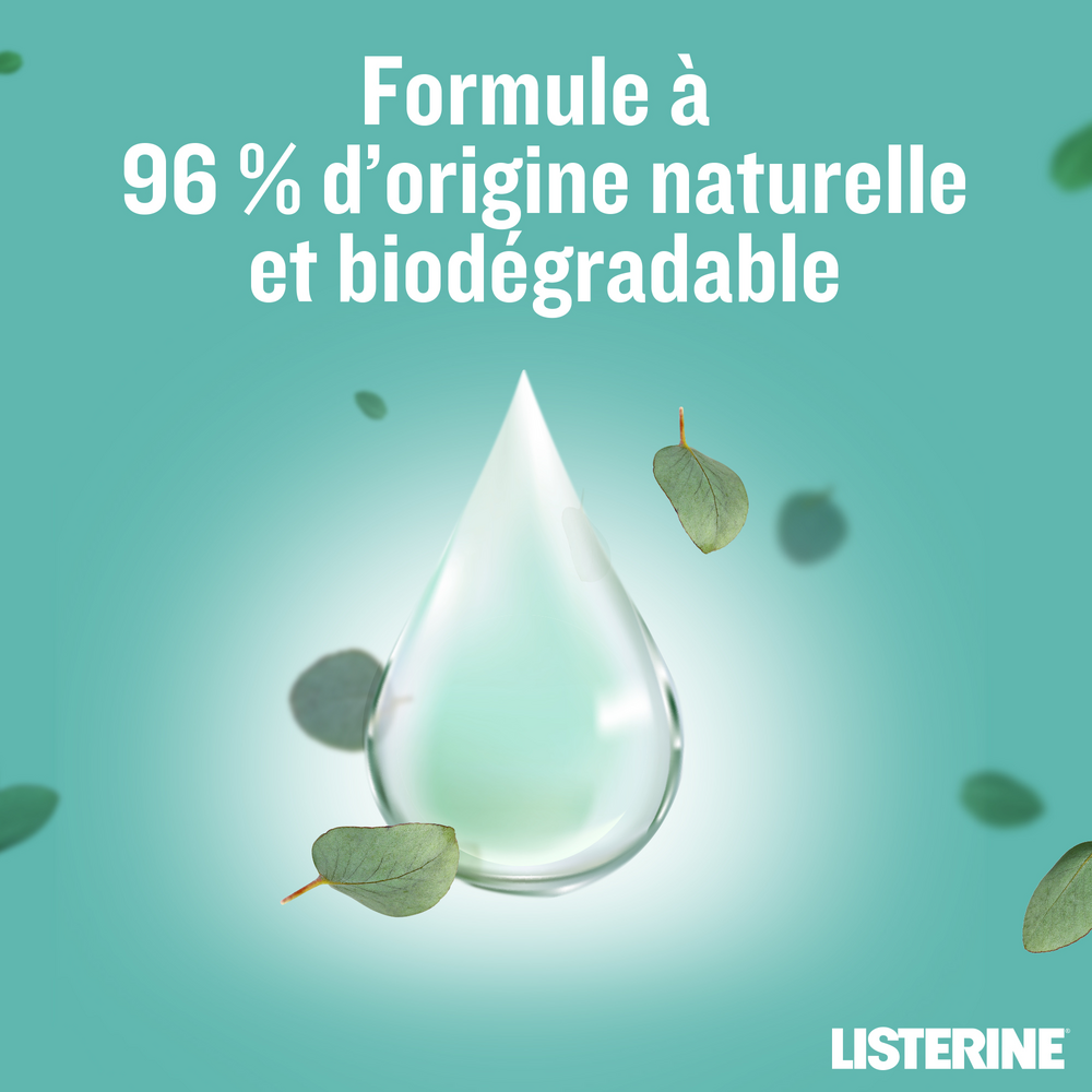 Listerine Naturals Protection Dents 500ml