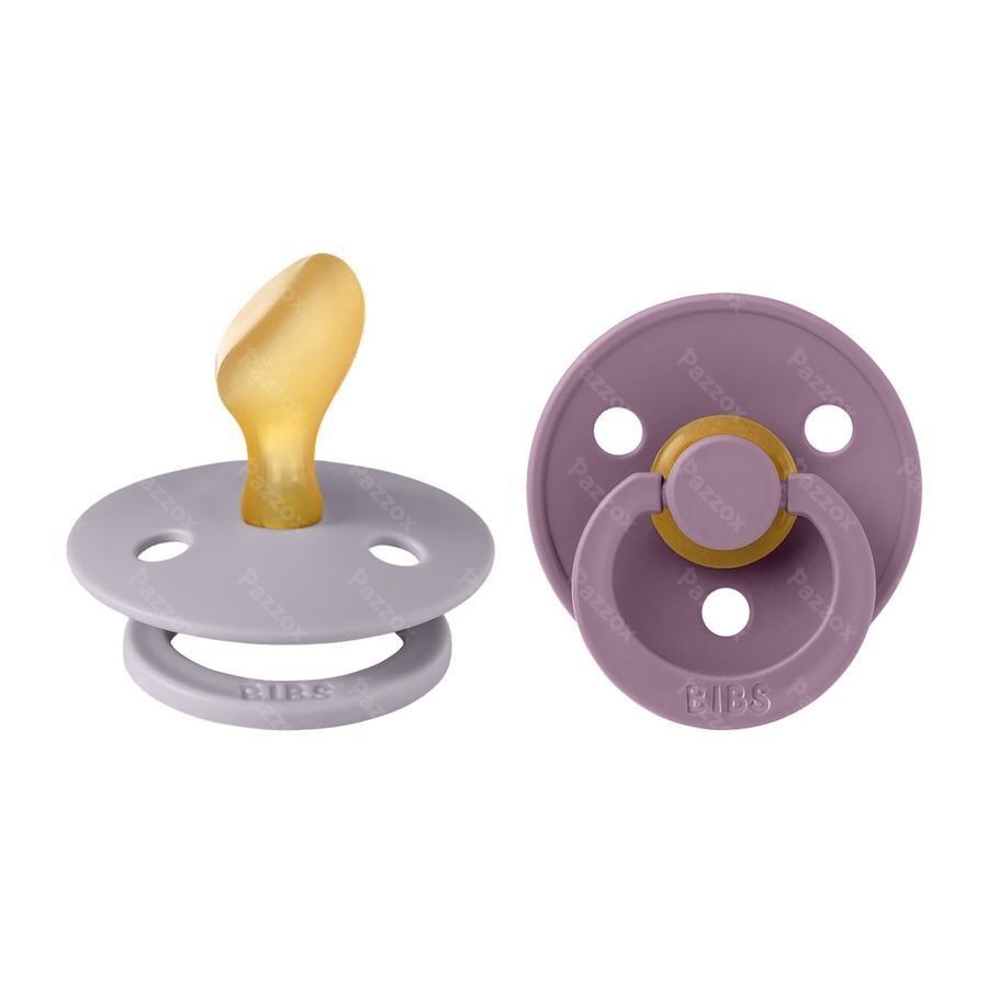 Bibs 2 Sucette Anatomic Duo Fossil/mauve